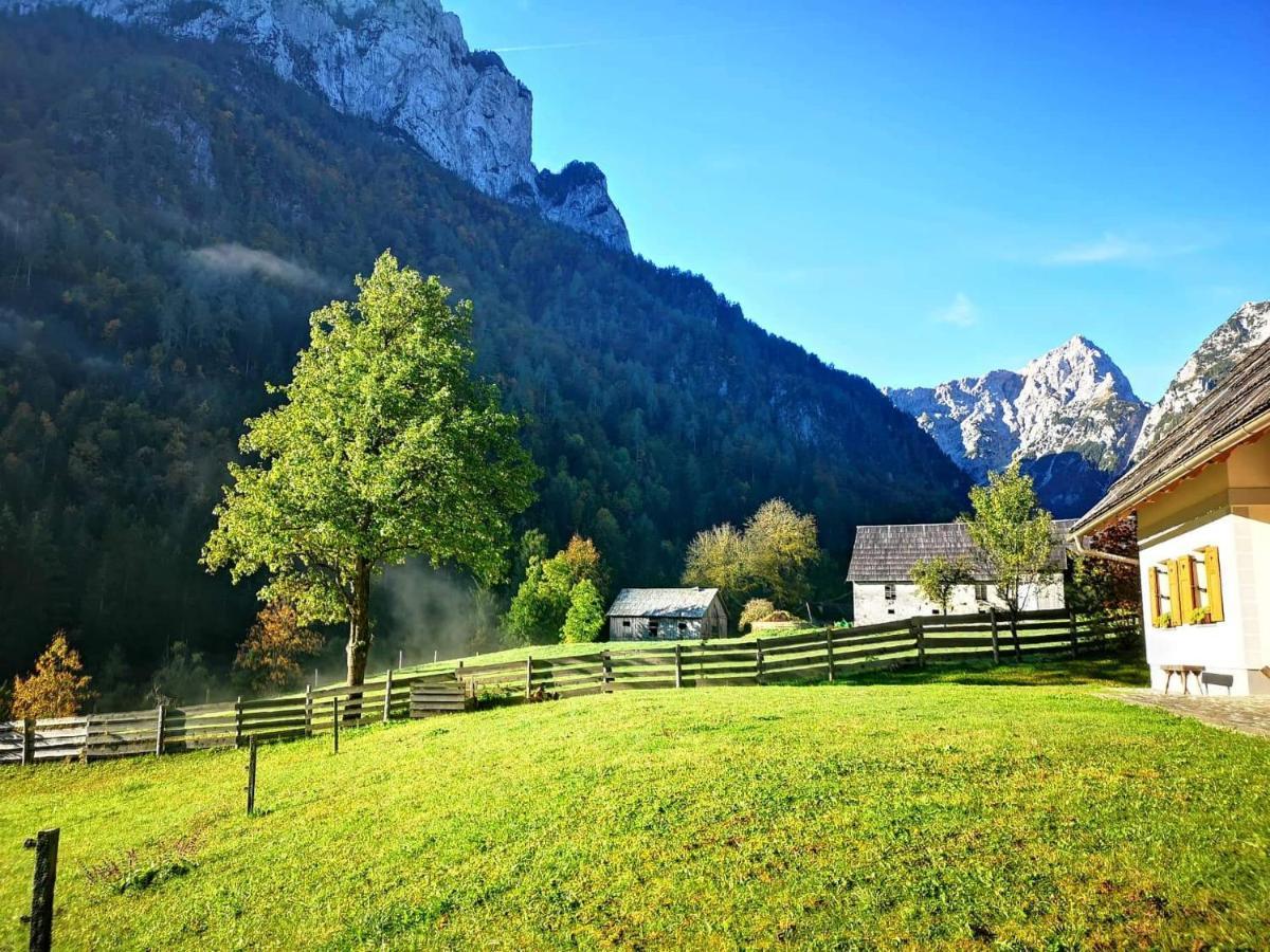 Mala Hisa Apartamento Solčava Exterior foto