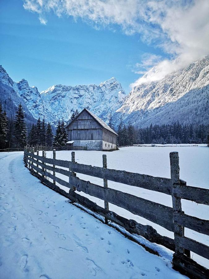 Mala Hisa Apartamento Solčava Exterior foto