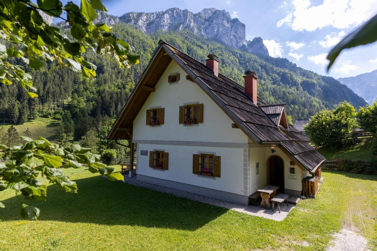 Mala Hisa Apartamento Solčava Exterior foto