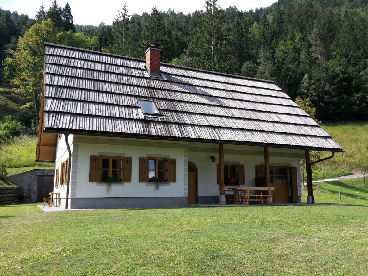 Mala Hisa Apartamento Solčava Exterior foto